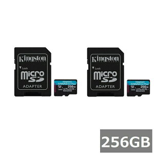 (2�Z�b�g) �L���O�X�g�� �}�C�N��SD MicroSDXC SDCG4 256GB Canvas Go! Plus microSD