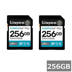 (2�Z�b�g) �L���O�X�g�� SD�J�[�h SDXC SDG4 256GB Canvas Go! Plus