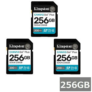 (3�Z�b�g) �L���O�X�g�� SD�J�[�h SDXC SDG4 256GB Canvas Go! Plus