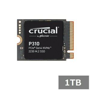 �N���[�V���� SSD 1TB P310 CT1000P310SSD2
