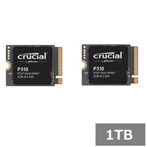 (2�Z�b�g) �N���[�V���� SSD 1TB P310 CT1000P310SSD2