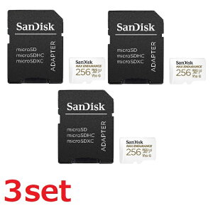 Sandisk Micro SDXC MAX ENDURANCE 256GB SDSQQVR-256G-GN6IA A_v^[t }CNSDJ[h SDJ[h SDXCJ[h micoroSD TfBXN Class10 sAi