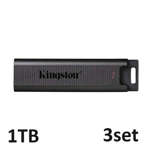 ySi10{!z USB 1TB Kingstone DataTraveler Max 1TB DTMAXA/1TB LOXg tbVhCu USB[ TypeC TypeA f[^ۊ Ot sAi