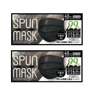 (2セット) マスク スパンレース 不織布 カラーマスク ブラック 40枚入