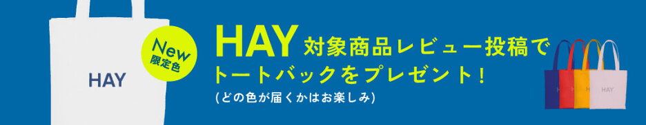 HAY レビューキャンペーン