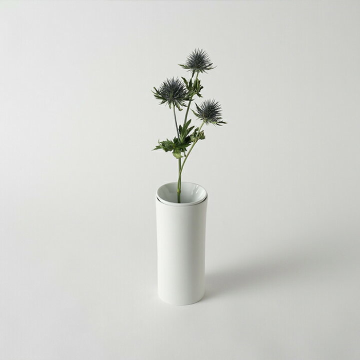 楽天市場 Cma Conus White Fremtiden フラムティーデン