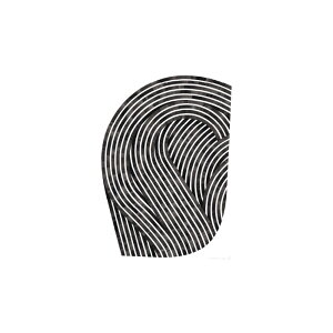 PAPER COLLECTIVE�i�y�[�p�[�R���N�e�B�u�j/�|�X�^�[/Quantum of Fields 01/50x70cm �V���� �����z�� ���̓� ���p�I �C���e���A �y�[���z��3�`4�T�ԁi���[�J�[���i���������j