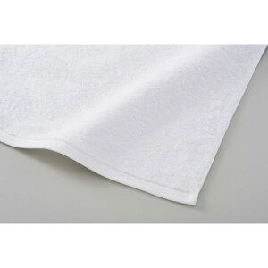 WATANABE PILEinӃpCDj T}Jh oX^I 100%(tFKi) ItzCg ^I ӂӂ Rbg  CeA