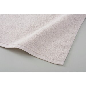 WATANABE PILEinӃpCDj ӂӃTz[L oX^I 100%(Tz[L) sN ^I ӂӂ Rbg  CeA