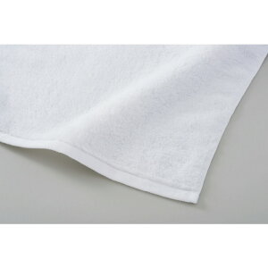 WATANABE PILEinӃpCDj ӂӃTz[L tFCX^I 100%(Tz[L) ItzCg ^I ӂӂ Rbg  CeA