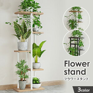 t[X^h ACA ԑ 5i   O  x_ X u |bN K[fjObN v^[ |bg K[fbN v^[X^h ~̓X^