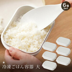  Ⓚ͂e  6 K784W }[i marna 吷 250g  ͂ 吷 e Ⓚۑ ۑe ĕۑe Ă͂ ӂ 􂢂₷ Ⓚїe ۑe H@Ή 