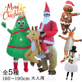 エアコス クリスマス サンタクロース 膨らむ エアー式 膨張式 コスチューム 仮装 コスプレ 空気 着ぐるみ パーティー メリークリスマス 送風機付き 自動膨張式 X-mas イベント 可愛い サンタさん サンタ 大人用 男女兼用 G351