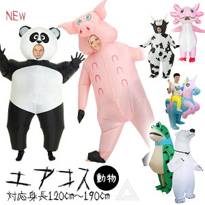 GARX  RX`[  RXv nEB JG u^  EV jR[ p_ VN}  ǂԂ  GARX`[ nEB p[eB[ @t 