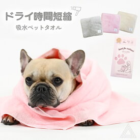 【ハホニコ】ペットタオル ドライマイクロファイバータオル 吸水タオル 速乾 獣医師推奨 もっとペット 美容師さんが考えた髪のためのタオル ペット用 お風呂 シャンプー ピンク グレー ベージュ フレブル チワワ トイププードル パピヨン マルチーズ ダックスフンド 722506