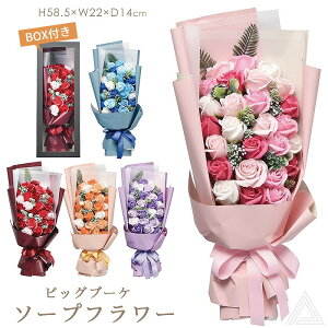 \[vt[ u[P Mtg J[V{t[u[P ԑ {bNXt ̓ hV̓ Mtg v[g ͂Ȃ o \[v t[ a  j LO Ǝ J