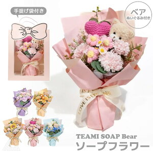  v[g  \[vt[  ҂ TEAMI SOAP Bear n[g {ܕt w Ǝ u[P ԑ \[v a ̓ ސEj t[Mtg   zC