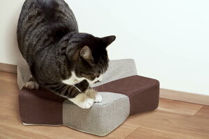 XgX ܂ƂNbV K{X^[ GBS-01