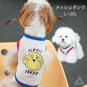   bV^Ngbv gbvX ĕ ʋC ɂ obNvg fUC hbOvg t`uhbO tu ViEU[ r[O rVt[[ Lo