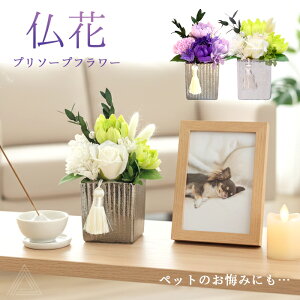 \[vt[   V{t[ v\[vt[ vU[uht[ Όf ͂Ȃ dp ybg [EA؃[ ₩Ȗ    