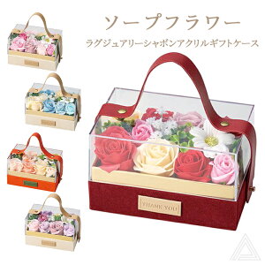 \[vt[ v[g  P[X NAP[X t 5F OWA[V{ANMtgP[X ͂Ȃ w Ǝ a ̓ ސEj t[Mtg 