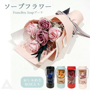 \[vt[ u[P ԑ v[g  4F BOX FrancBox Soapu[P \[vu[P ~ju[P ͂Ȃ w Ǝ a ̓ ސEj  t BOX o bh