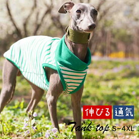 イタグレ タンクトップ ボーダー柄 グリーン イタグレ服 ハイネック 秋 春 犬 服 軽い 伸縮性 S~4XL イタリアングレーハウンド 動きやすい 犬服 ミニピン ミニチュアピンシャー サイトハウンド ボーダー シンプル 部屋着 IG038T