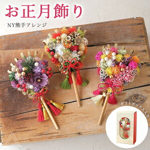 F  NYFAW ͂Ȃ NY515 ̌a NY517 ̐ NY518  F hCt[  3  u  RpNg CeA N _