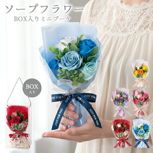 �\�[�v�t�����[ �v���[���g �� �u�[�P �ԑ� 5�F �N���A�{�b�N�X�t�� �X�C�[�g�V���{��5�փu�[�P�{�b�N�X �\�[�v�u�[�P �~�j�u�[�P �͂�Ȃ��� ���w�� ���Ǝ� �a���� ��̓� �ސE�j�� �t����