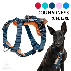 n[lX  PVCU[ t`uhbO C^O ^ ^ ^ ^  킢  Jt tu pO ybgp y o U ߉\ ȒPyHiDREAM