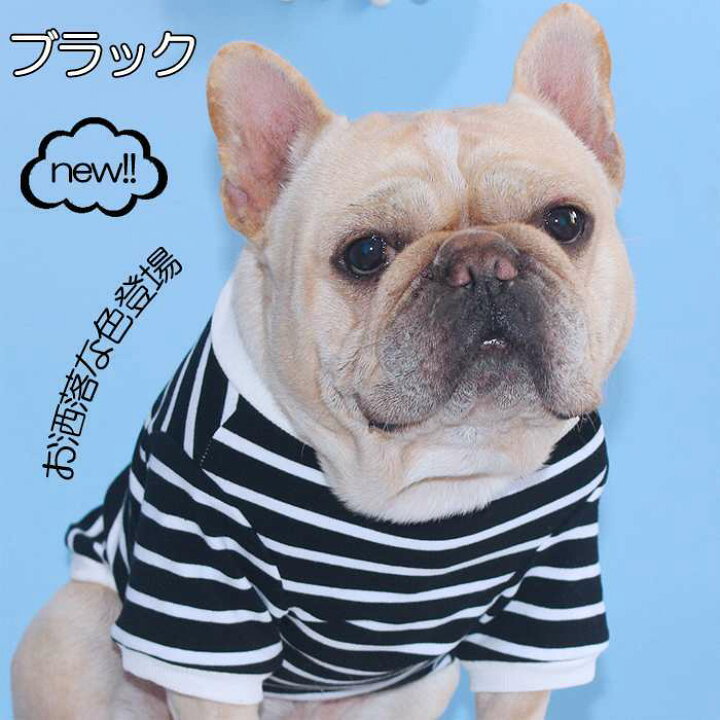 楽天市場 犬 フレンチブルドッグ 服 秋 冬 中型犬 小型犬 大型犬 シンプル Tシャツ ボーダー デイリー 部屋着 フレブル 夏 夏服 春 カラフル おしゃれ かわいい ドッグウェア ペットウェア ペット服 洋服 Km330ts French French
