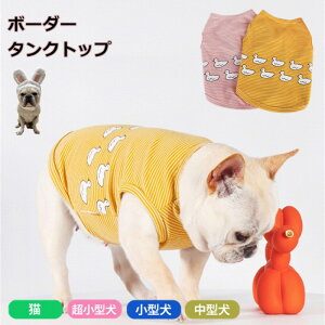 t`uhbO  ^Ngbv tu ĕ uhbN CMXuhbN Lk ybg ^ ^ ^ Aq {[_[ sN CG[ KM915T