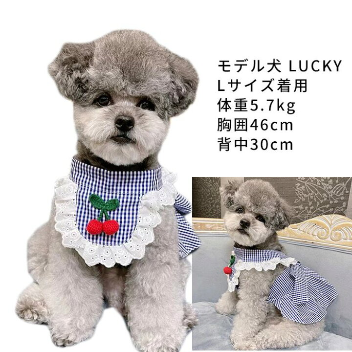 楽天市場】新作 ワンピース 犬服 春 夏 フレンチブルドッグ トイ 