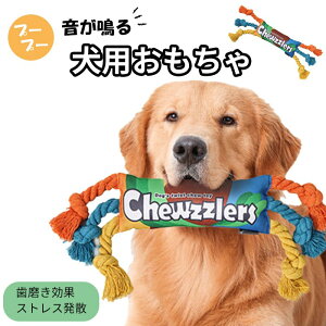     v[v[ ɂԂ XgX p t`uhbN R[M[ S[fgo[ }`J[ ybg ybgpi ^ ^ ^ y