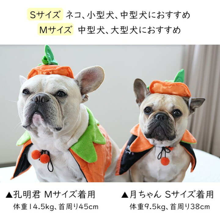 楽天市場 犬 ハロウィン 服 犬服 コスプレ かぼちゃ コウモリ 帽子 マント 変装 2点セット コスチューム フレンチブルドッグ フレブル おもしろグッズ 仮装 変装 秋 冬 クリスマスプレゼント Km727g French French
