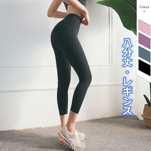 ysztBbglX fB[X K MX nCCY tBbglXEFA KEFA K K MX nCEGXg Ȃ  n WF FX|[c EFA 