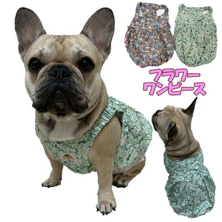 楽天市場 犬服 春 夏 ワンピース フレンチブルドッグ 服 中型犬 小型犬 フレブル グリーン ブルー 花柄 花 女の子 スカート ワンピース 犬 ドッグウェア 犬服 綿 ペット服 Km263sk French French