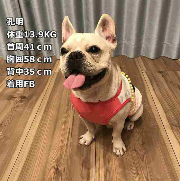 楽天市場 買わなきゃ損 フレブル タンクトップ フレンチブルドッグ 犬 服 おしゃれ カジュアル かわいい 普段着 部屋着 春 夏 犬服 ペットウェア 可愛すぎる ボンボリ Km092t French French