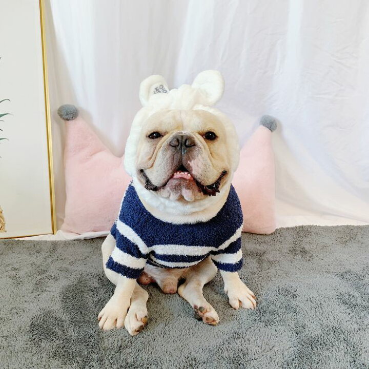 楽天市場 フレンチブルドッグ 犬 服 秋 冬 あたたかい ニット 部屋着 ルームウェア コーデ ドッグウェア もこもこ ボーダー セーター ペット服 犬 服 洋服 カジュアル おしゃれ 中型犬 小型犬 大型犬 Km101ts French French