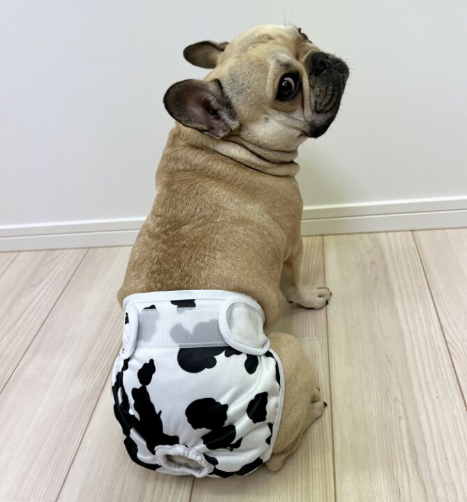 楽天市場 マナーパンツ 犬 フレンチブルドック カバー オムツ マナーパンツ メス 女の子 お買い物マラソン 1000円 介護用 シニア犬 消臭 かぶれ 嫌がる 介護 去勢 交配 散歩 高齢犬 避妊 Km694g French French