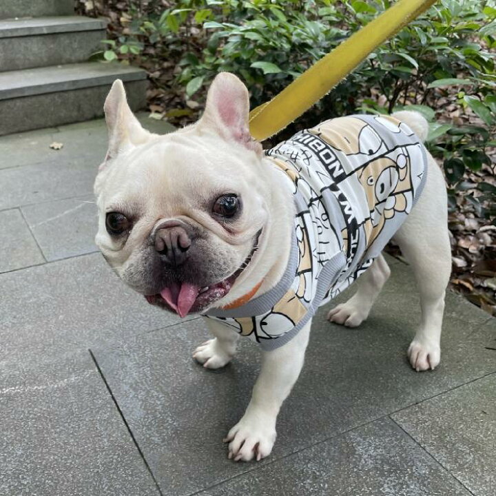 楽天市場 犬服 春夏 可愛い フレンチブルドッグ フレブル タンクトップ 犬 服 春 夏 小型犬 中型犬 ドッグウェア 涼しい 動きやすい クマ 派手 Km379t French French