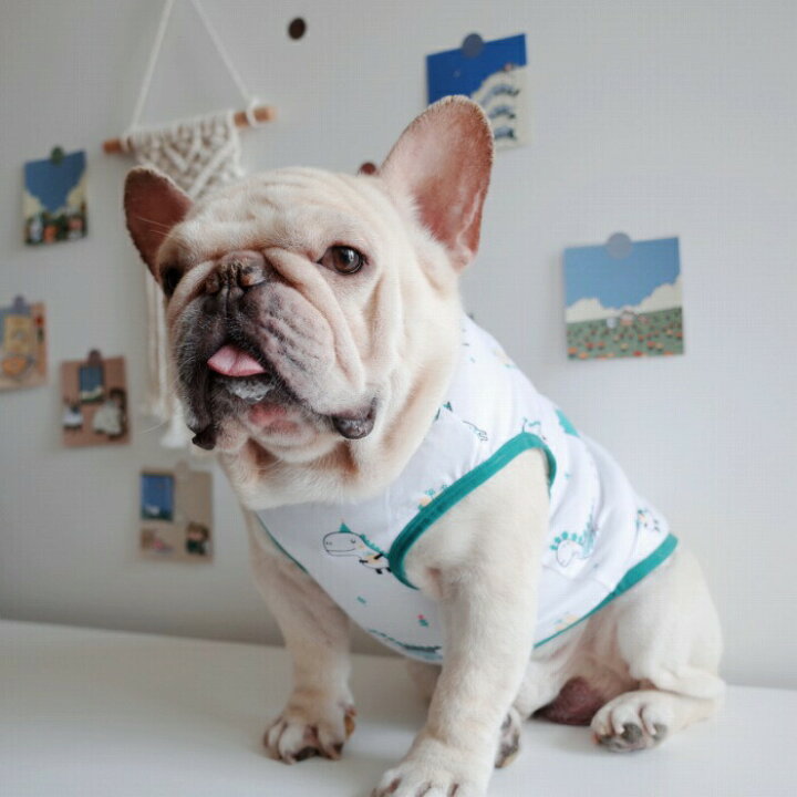 楽天市場 犬 春 夏服 中型犬 フレンチブルドッグ フレブル 恐竜 グリーン 白 ホワイト 爽やか 薄手 タンクトップ 犬 服 ドッグウェア 小型犬 柄 ペット服 Km372t French French