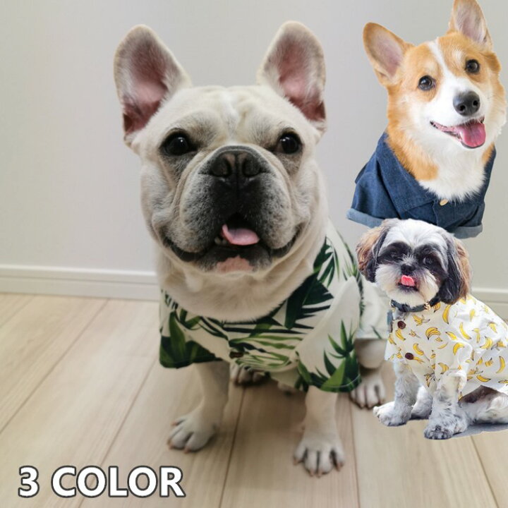 楽天市場 １周年記念マスクおまけ付き 犬 アロハシャツ 夏 フレンチブルドッグ 服 ペット用 シャツ 海 フレブル 中型犬 かわいい 川 リゾート サーフィン ビーチkm369ts French French