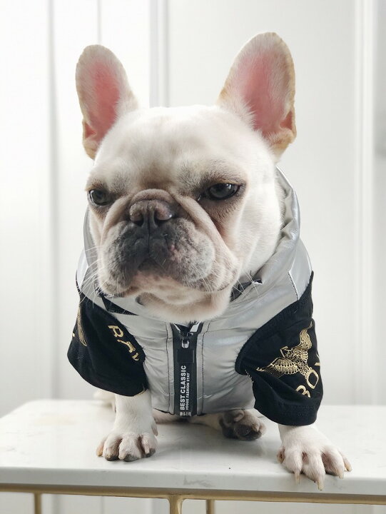 楽天市場 フレンチブルドッグ服 フレブル シルバー 可愛い 中綿ベスト 秋冬 犬 服 ドッグウェア 柴犬 ダックス ポメラニアン ヨーキー シーズー マルチーズ キャバリア パグ パピヨン ピンシャー ボストンテリア Km387t French French