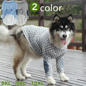   ^ ^ S[f uh[ Hc nXL[ TGh X^_[hv[h O[ u[ Tshirt TVc pW} [EFA іh~ ΍ KM393TS