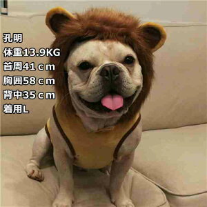 ライオン コスプレ 犬用ペット服の人気商品 通販 価格比較 価格 Com