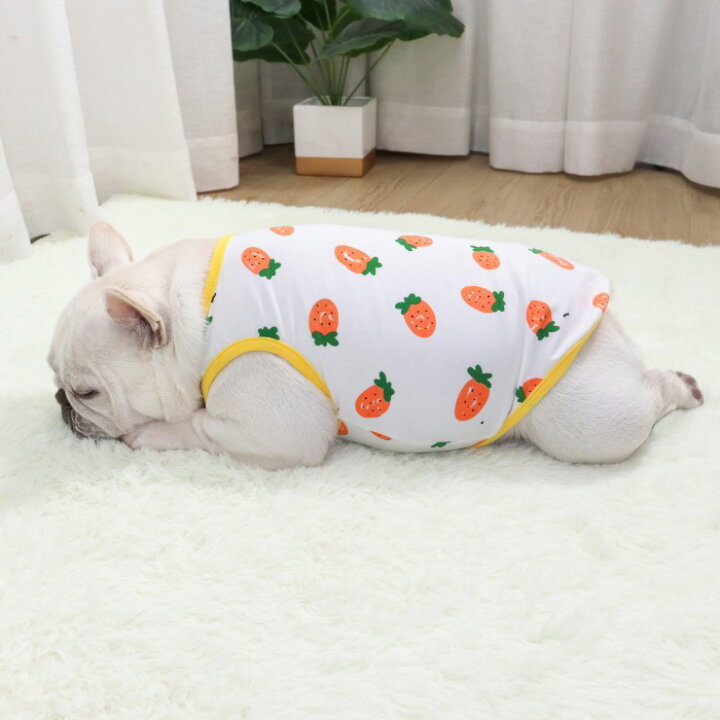 楽天市場 フレブル 服 タンクトップ フレンチブルドッグ 人参 犬 服 かわいい 普段着 部屋着ドッグウェア ペットウェア ペット服 犬 服 洋服 カジュアル おしゃれ ホワイト Km360t French French
