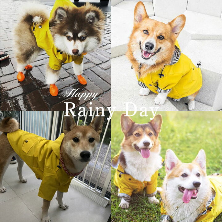 楽天市場 犬 レインコート 中型犬 小型犬 大型犬 雨 散歩 カッパ おしゃれ かわいい 散歩グッズ 小さいサイズ 大きいサイズ フレンチブルドッグ パグ 柴犬 コーギー ポメラニアン イエロー ピンク レッド Km312jk French French