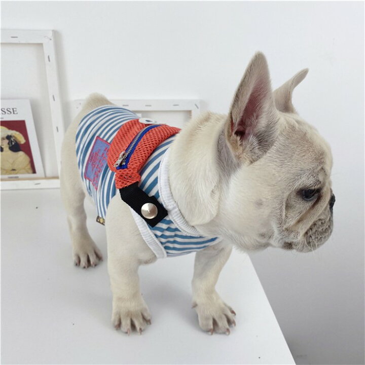 楽天市場 犬 服 春 夏 かわいい カバン付き タンクトップ フレブル フレンチブルドッグ ペット服 柴犬 中型犬 猫 小型犬 ダックス ポメラニアン ヨーキー シーズー マルチーズ キャバリア パグ Km243t French French