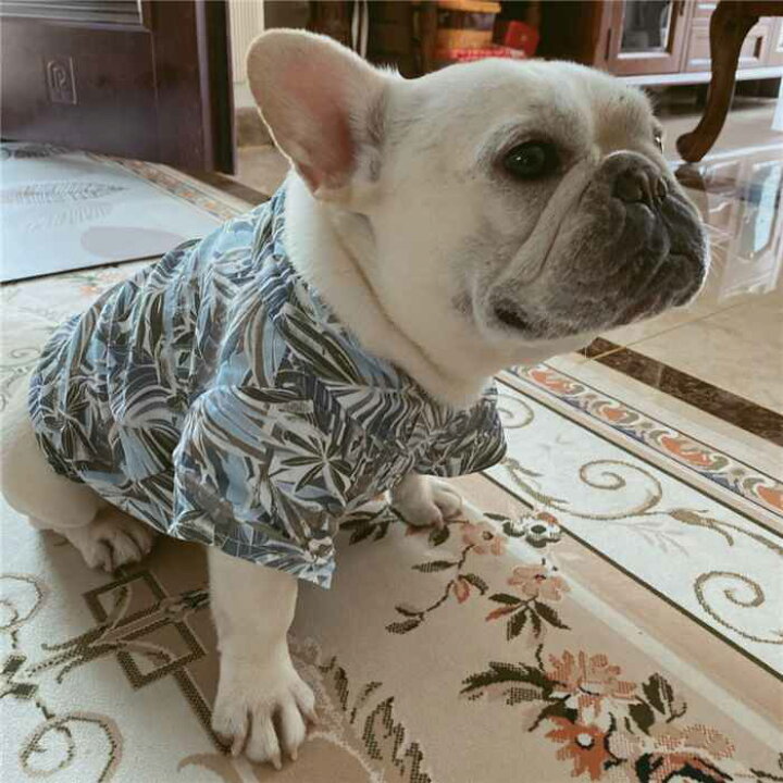楽天市場 ポイント10倍 犬 夏服 フレンチブルドッグ 服 アロハシャツ 海 フレブル 中型犬 かわいい 川 リゾート サーフィン ビーチ 小型犬 ペット服 犬用服 Km257ts French French